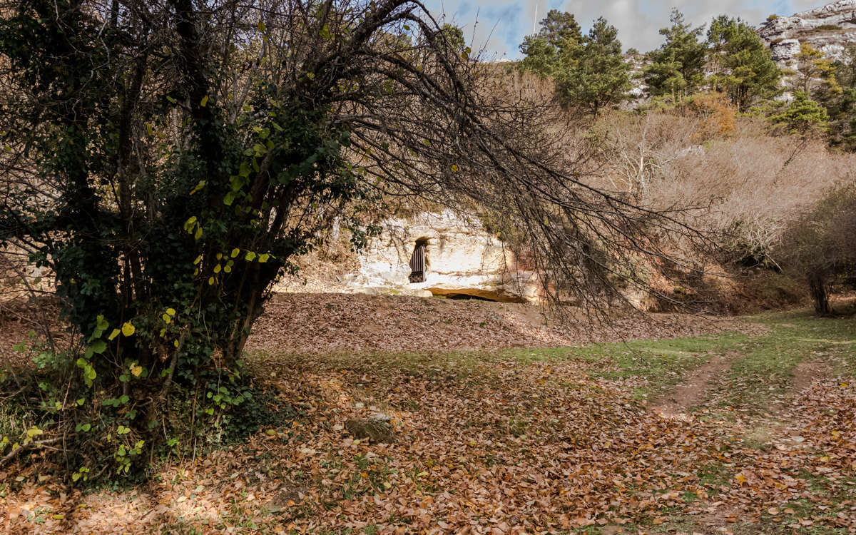 C DSC 4074