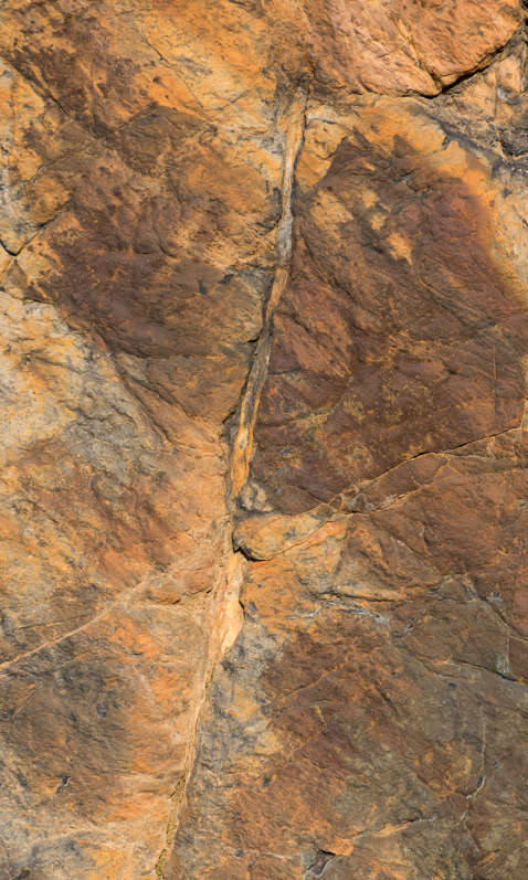 C 20181209160735