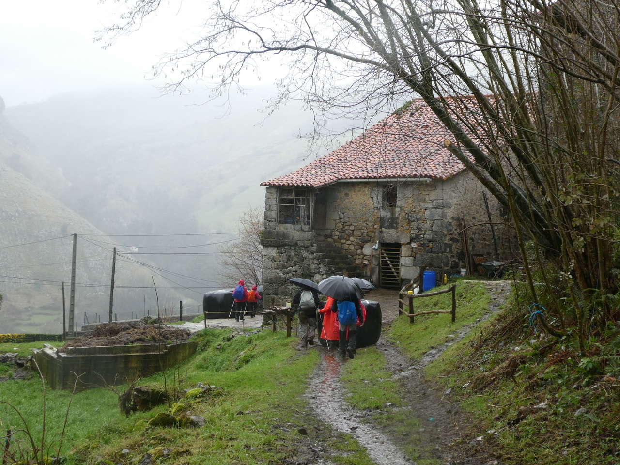 P11090274