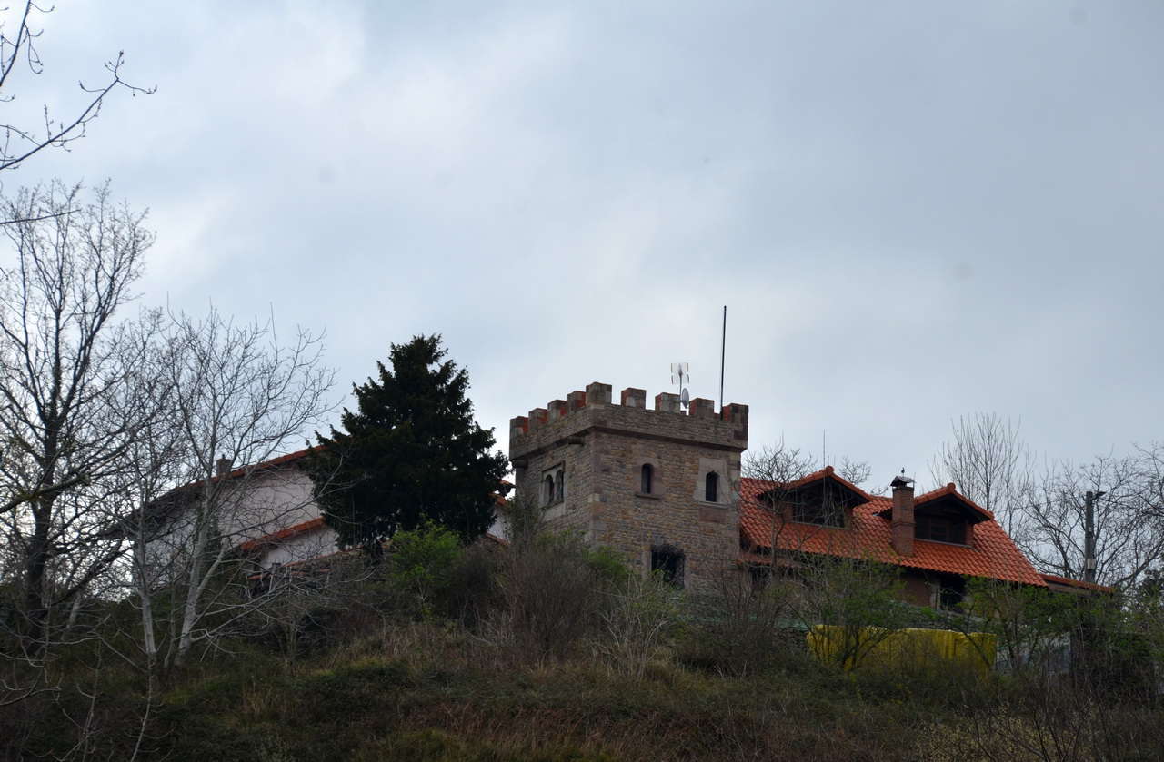 DSC1 5503