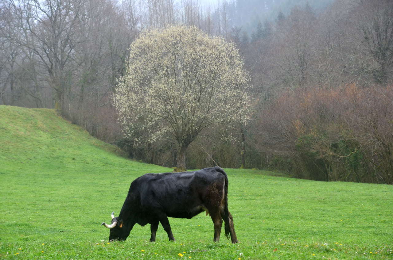 DSC1 5711