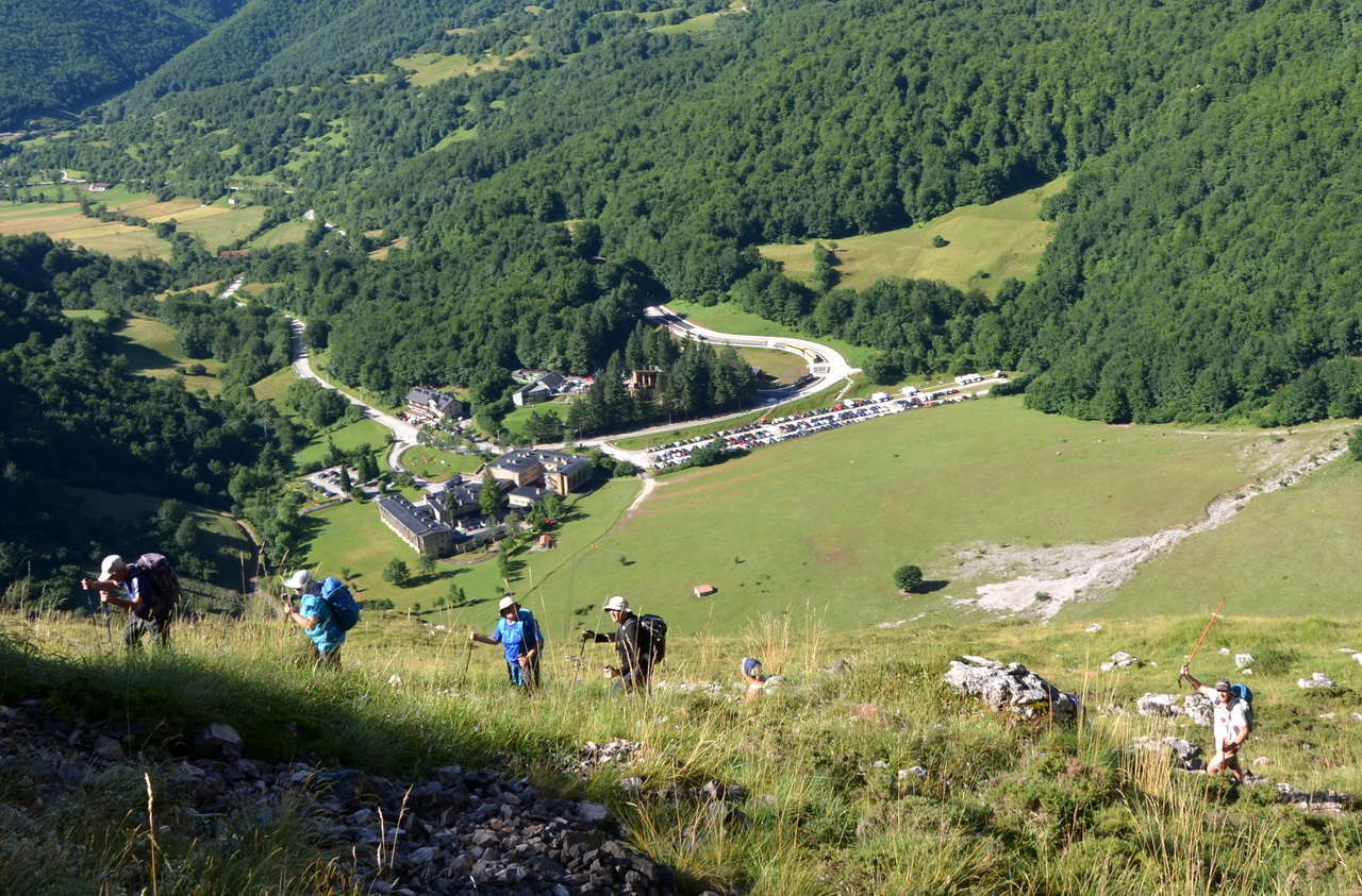 DSC1 1126
