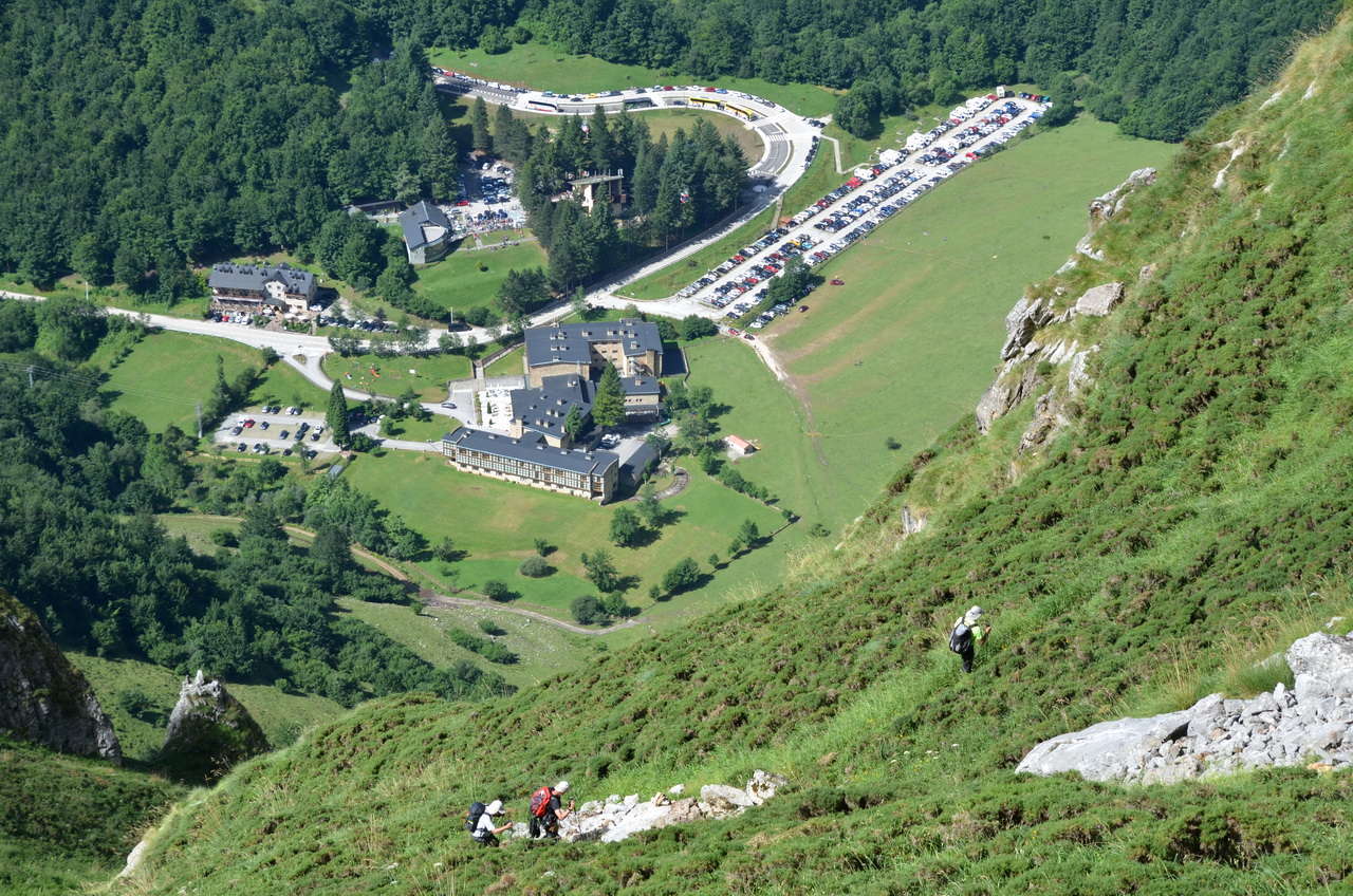 DSC1 1223