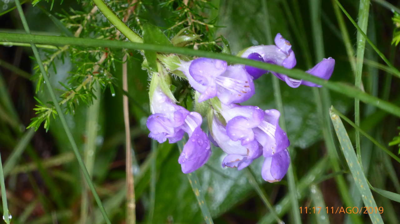 P1300842