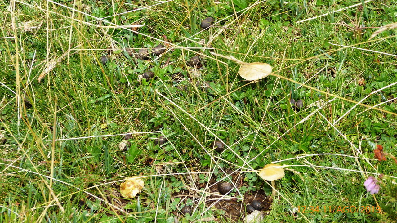 P1300856