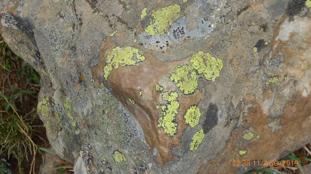 P1300865