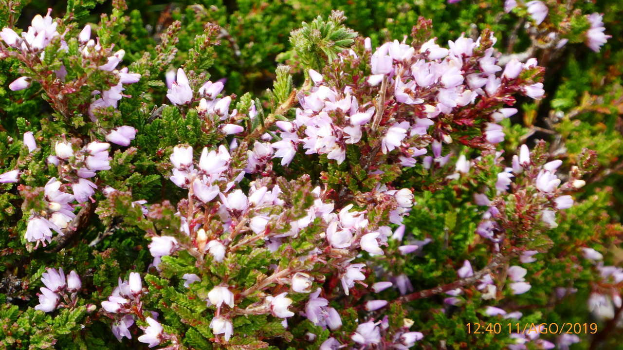 P1300868