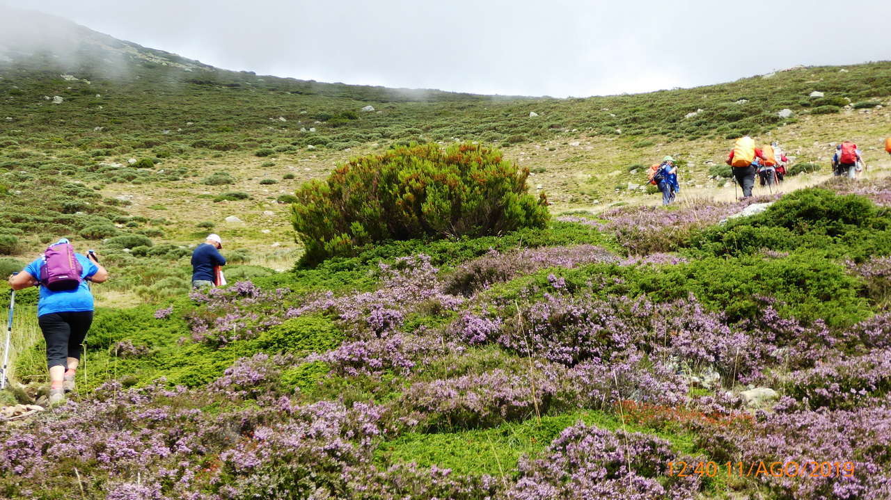 P1300869