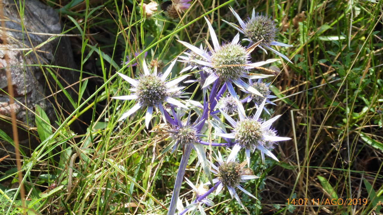 P1300893