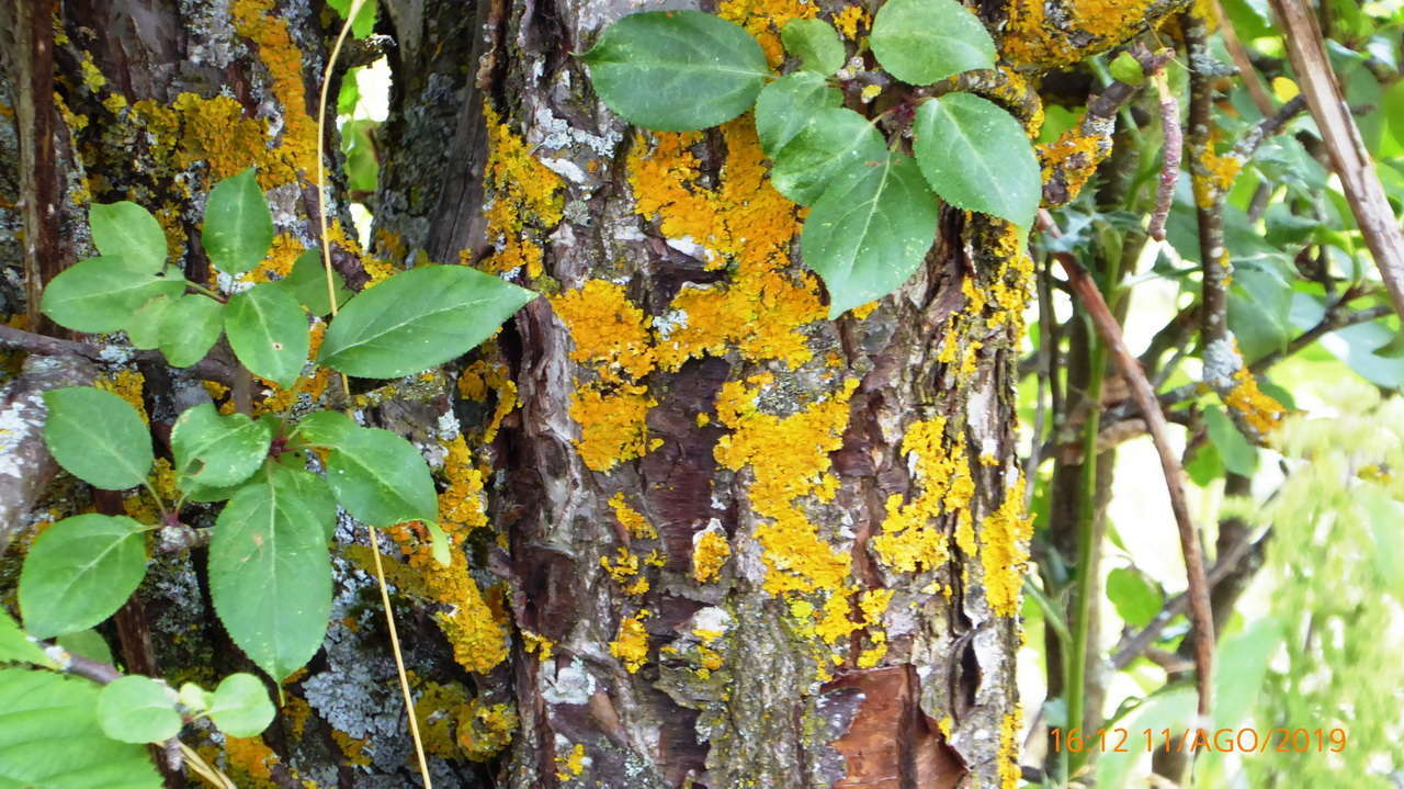 P1300922