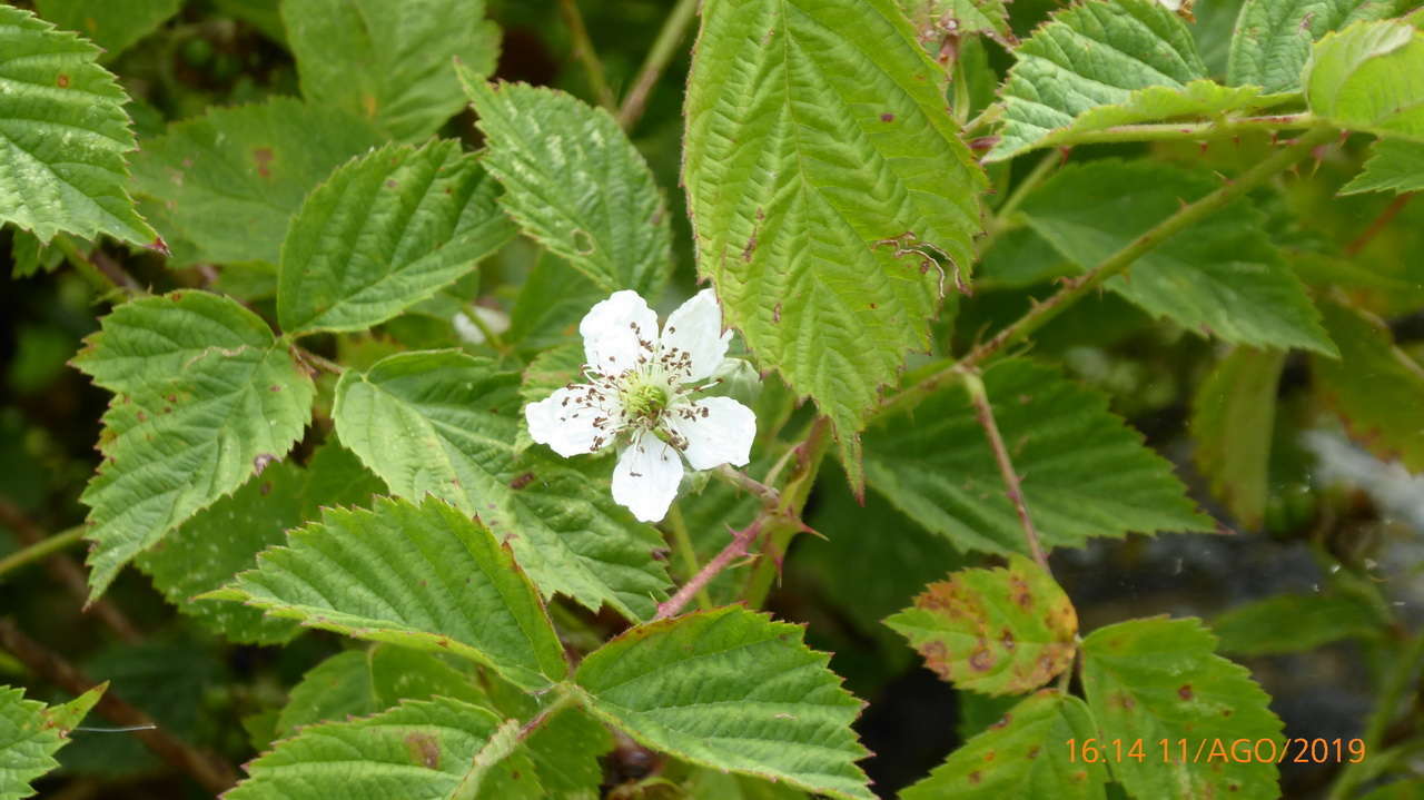P1300928