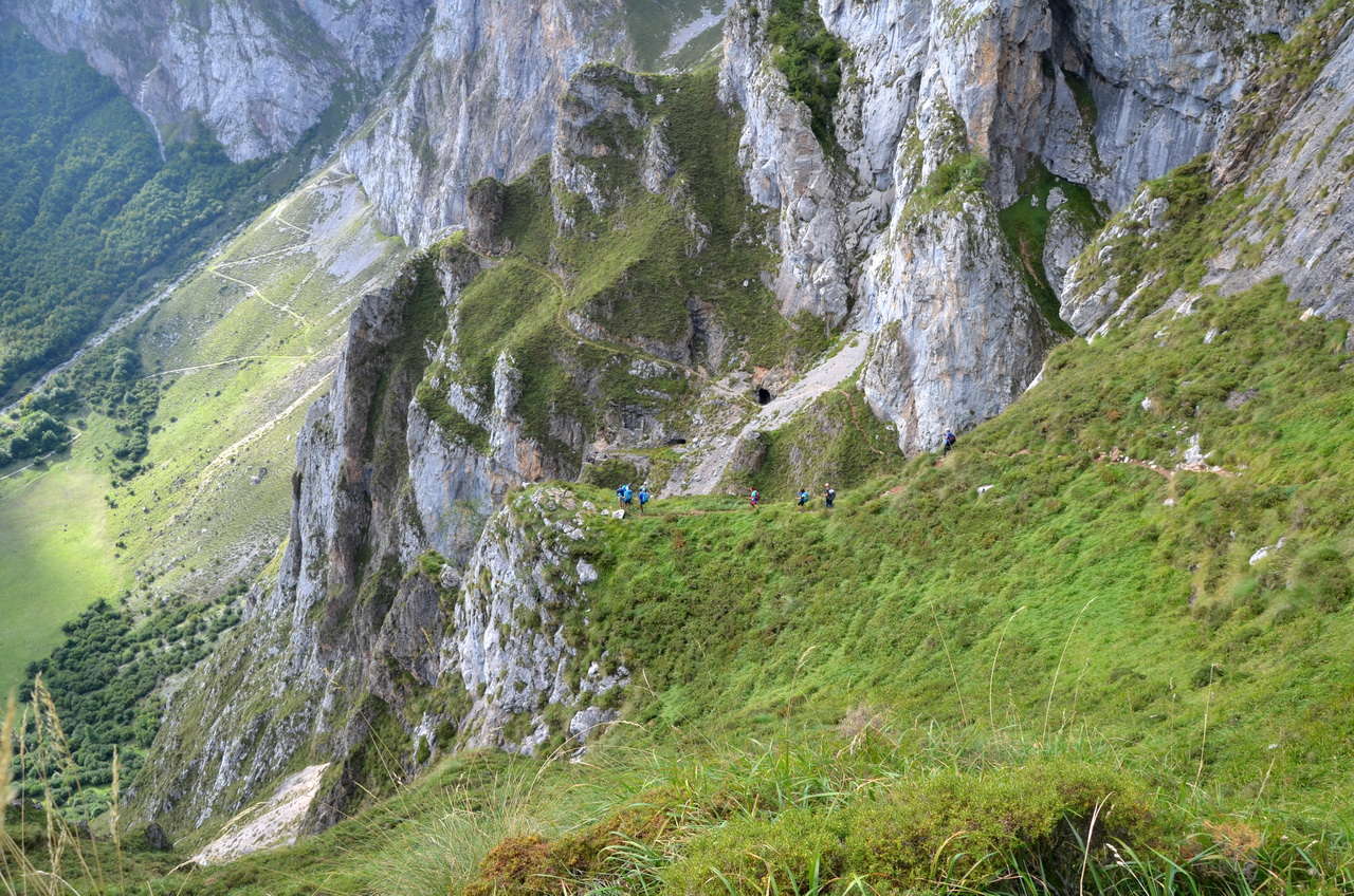 DSC1 4218