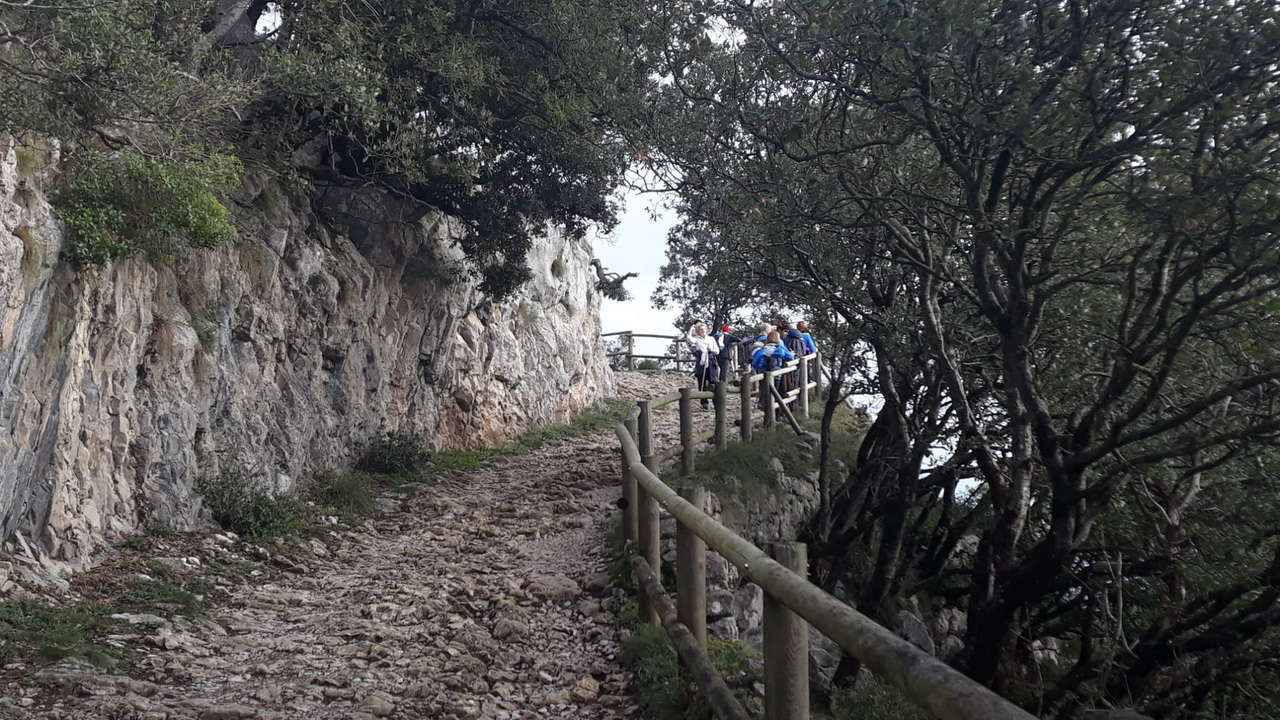 DSC01290