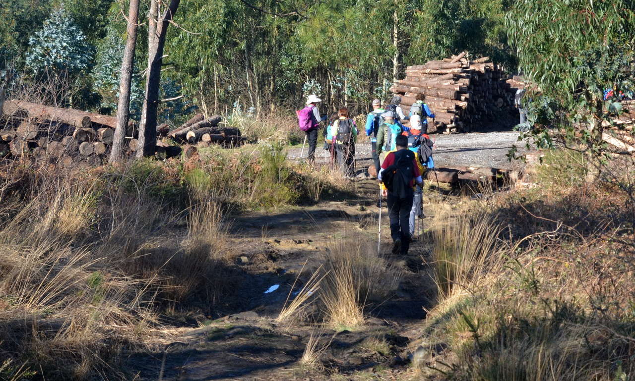 DSC1 8796