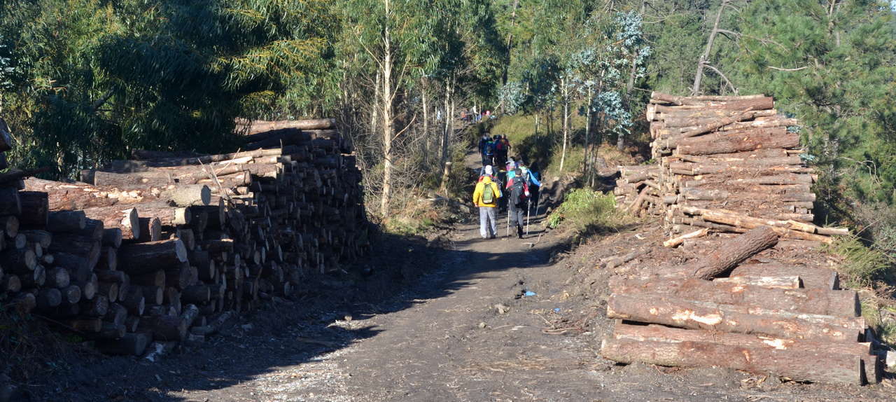 DSC1 8798