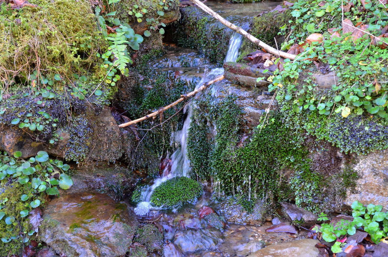 DSC1 9678