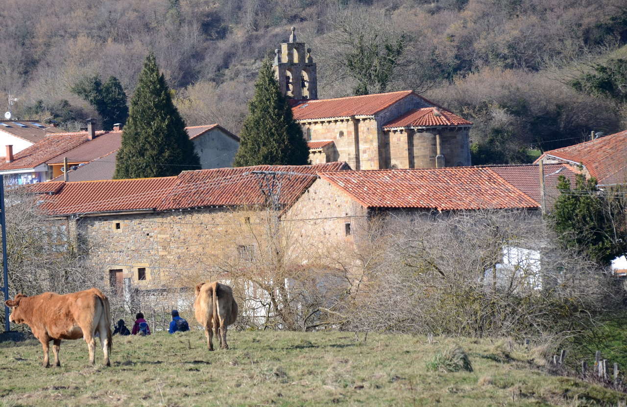 DSC1 9795