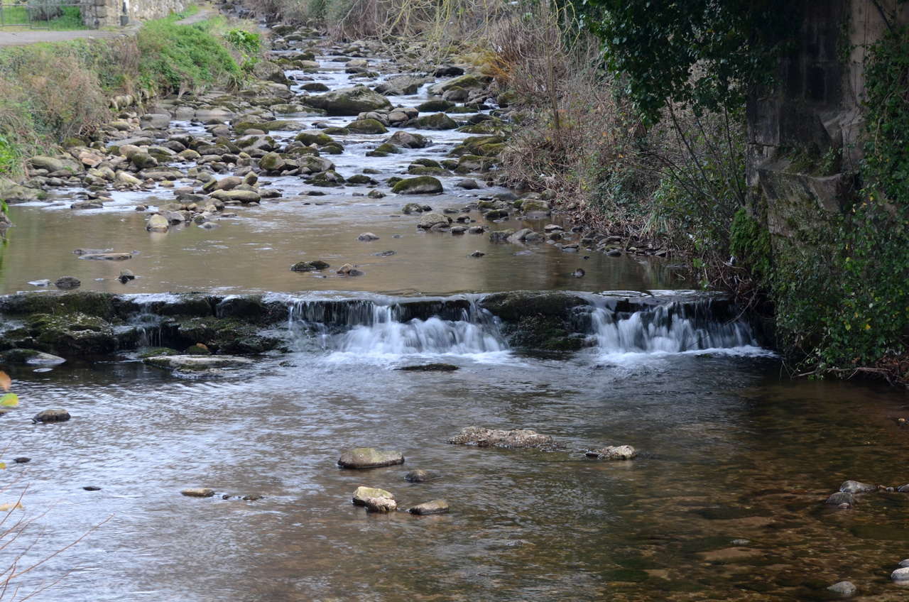 DSC1 9818