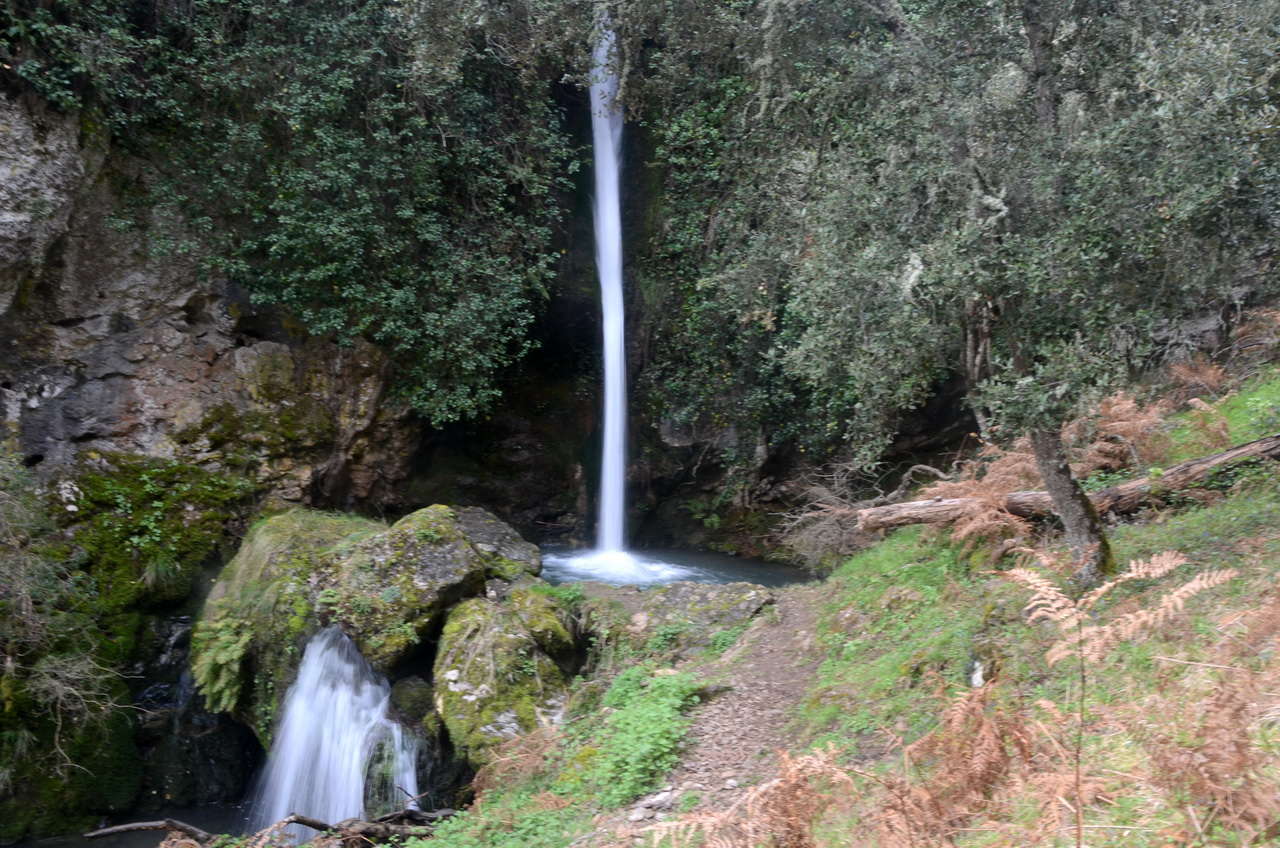 DSC1 2445