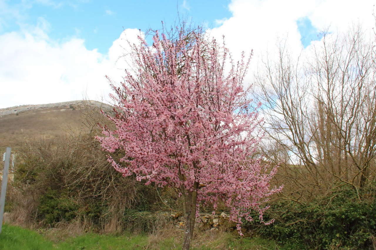 IMG-20220404-WA0024