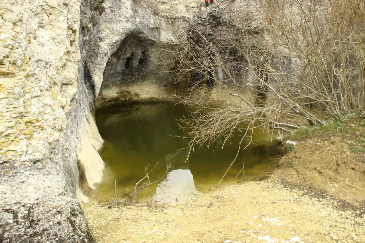 IMG-20220404-WA0025