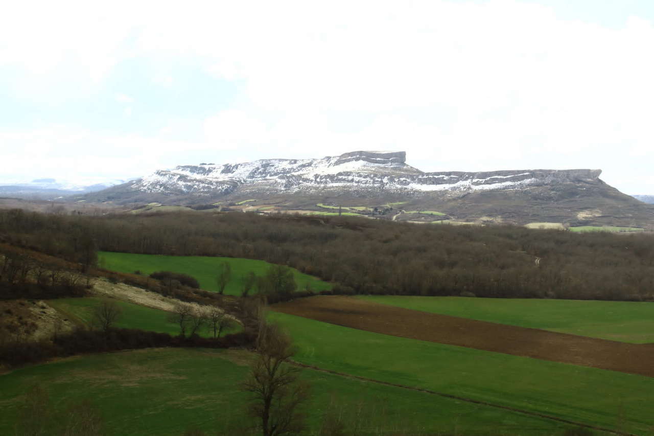 IMG-20220404-WA0029