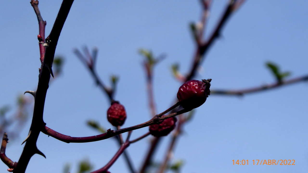 P1160808