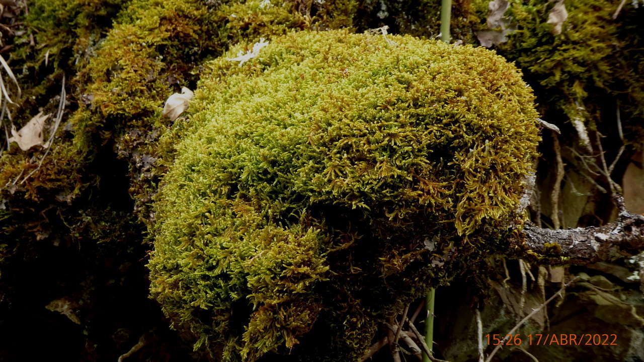 P1160844