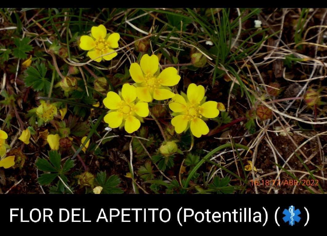 P1160880