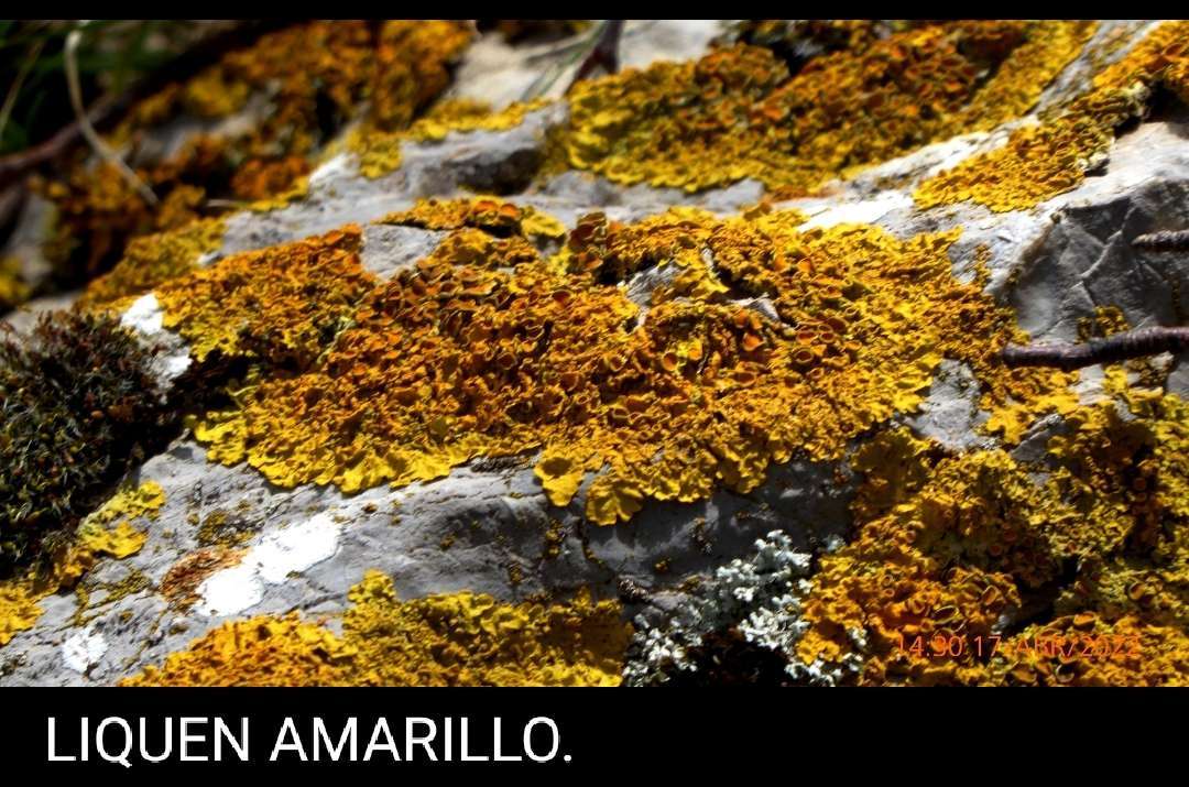 P1160884