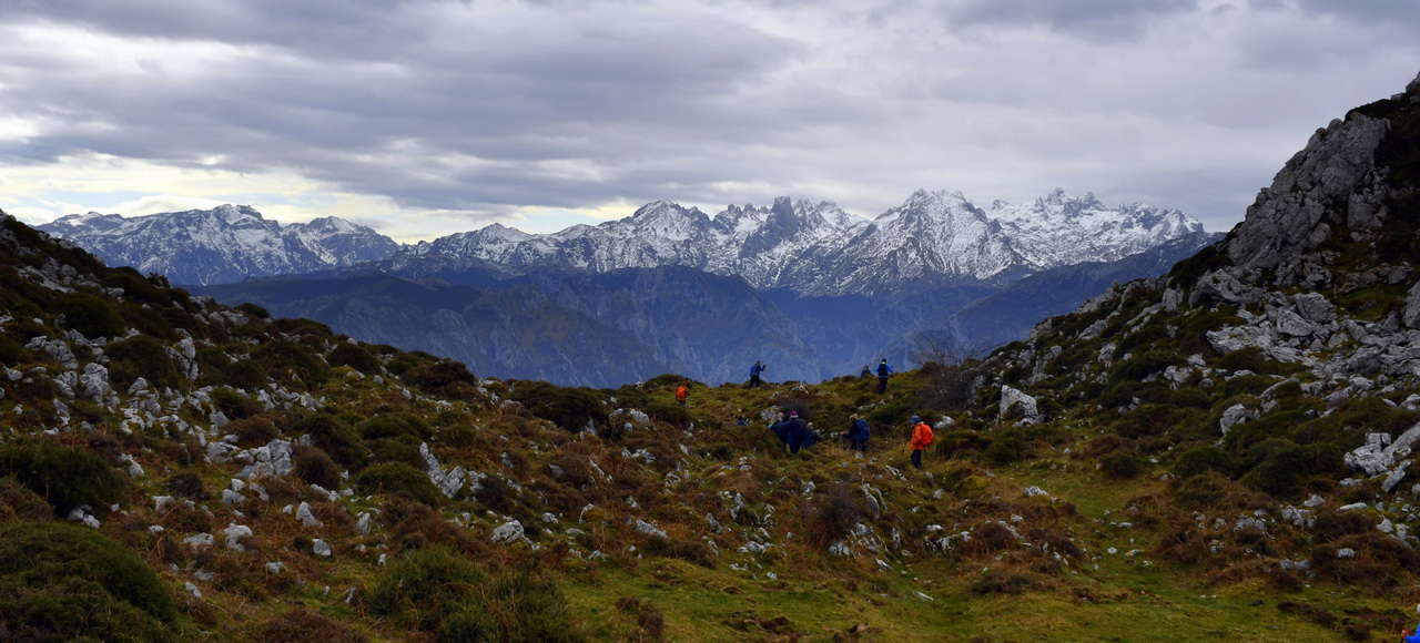 IMG-20250218-WA0057