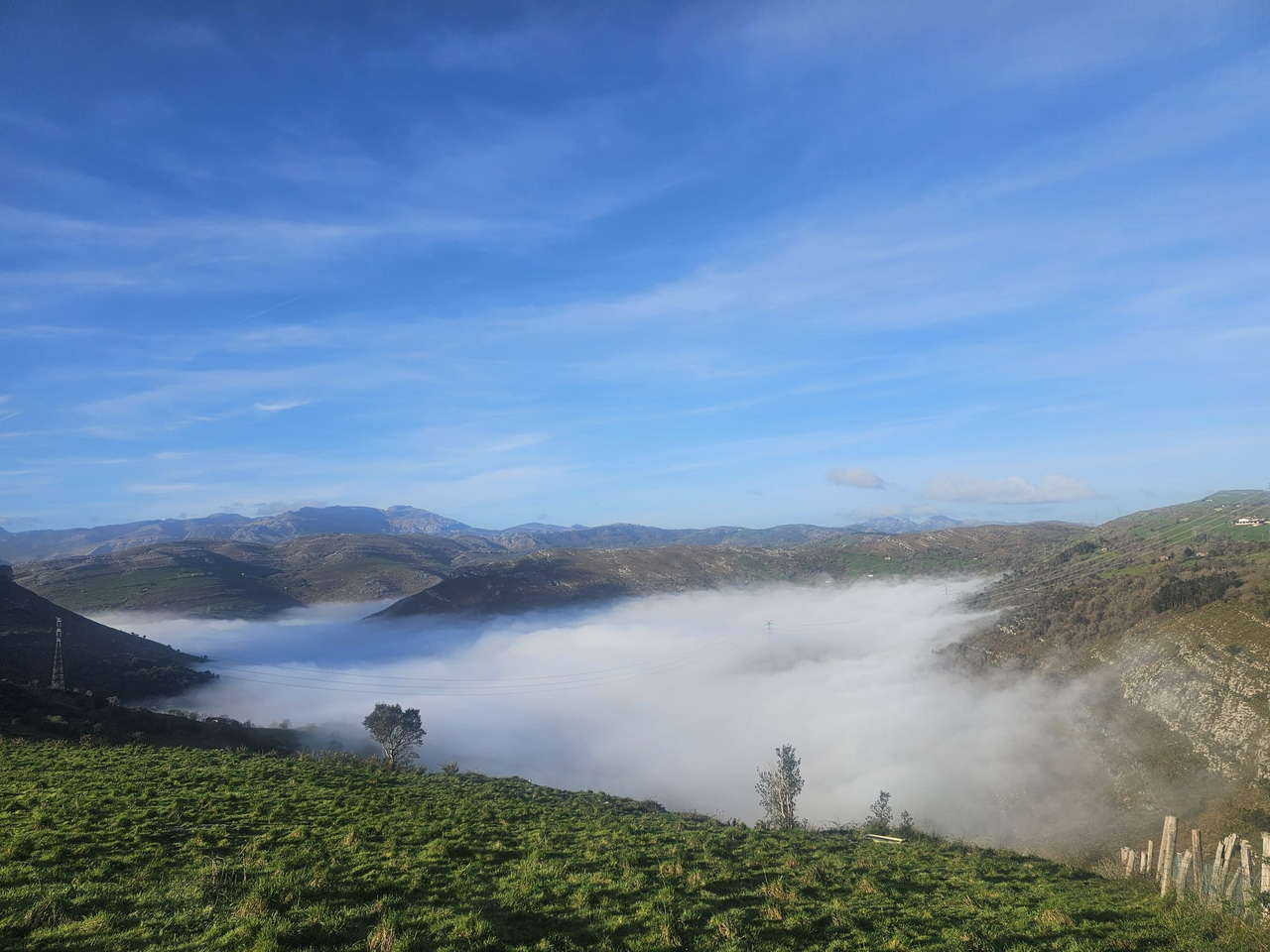 IMG-20250331-WA0221