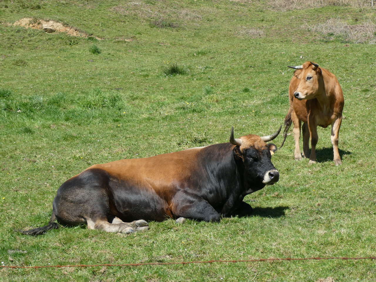 P1050575
