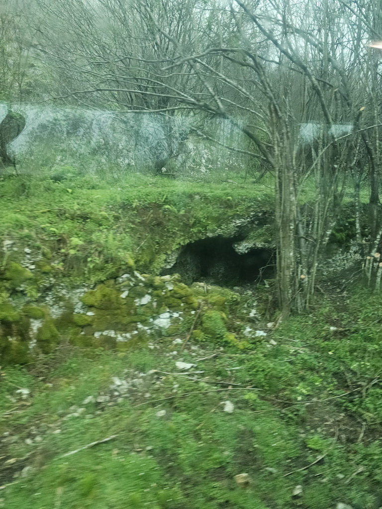 IMG-20250418-WA0008