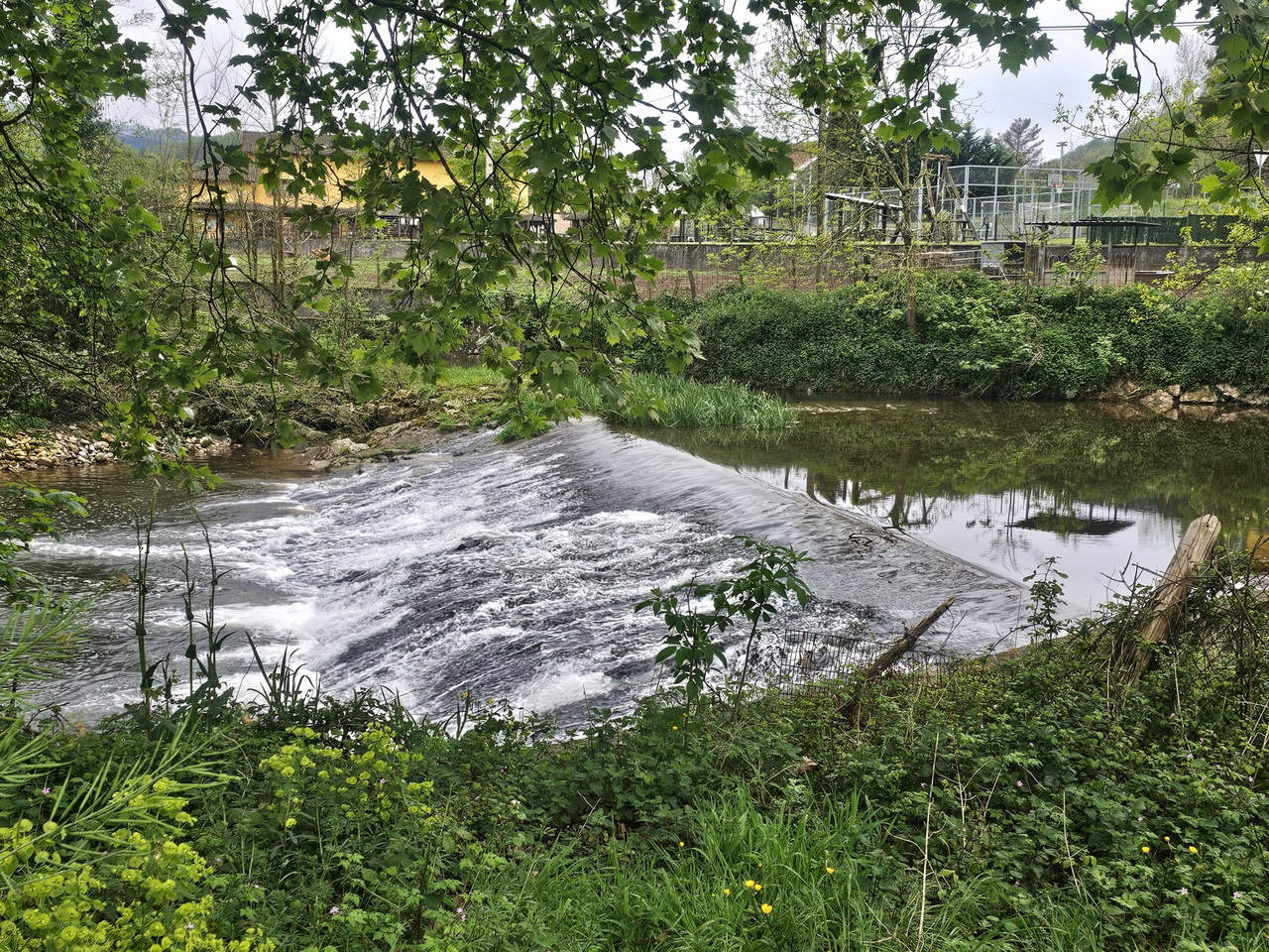 IMG-20250418-WA0012