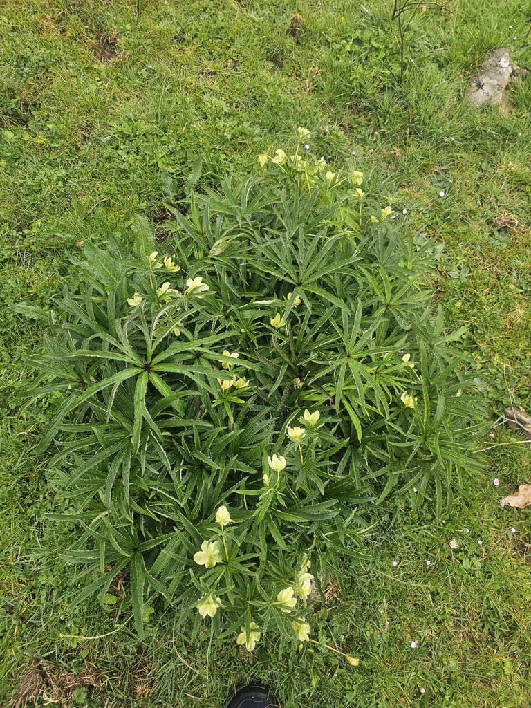 IMG-20250418-WA0017
