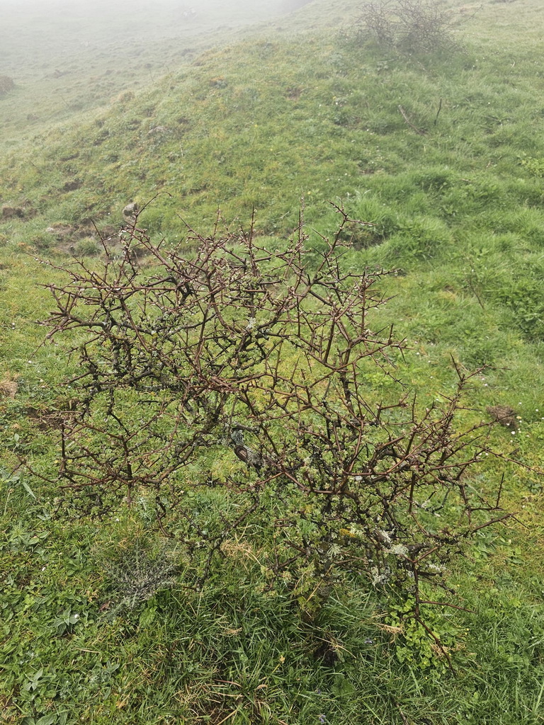 IMG-20250418-WA0019