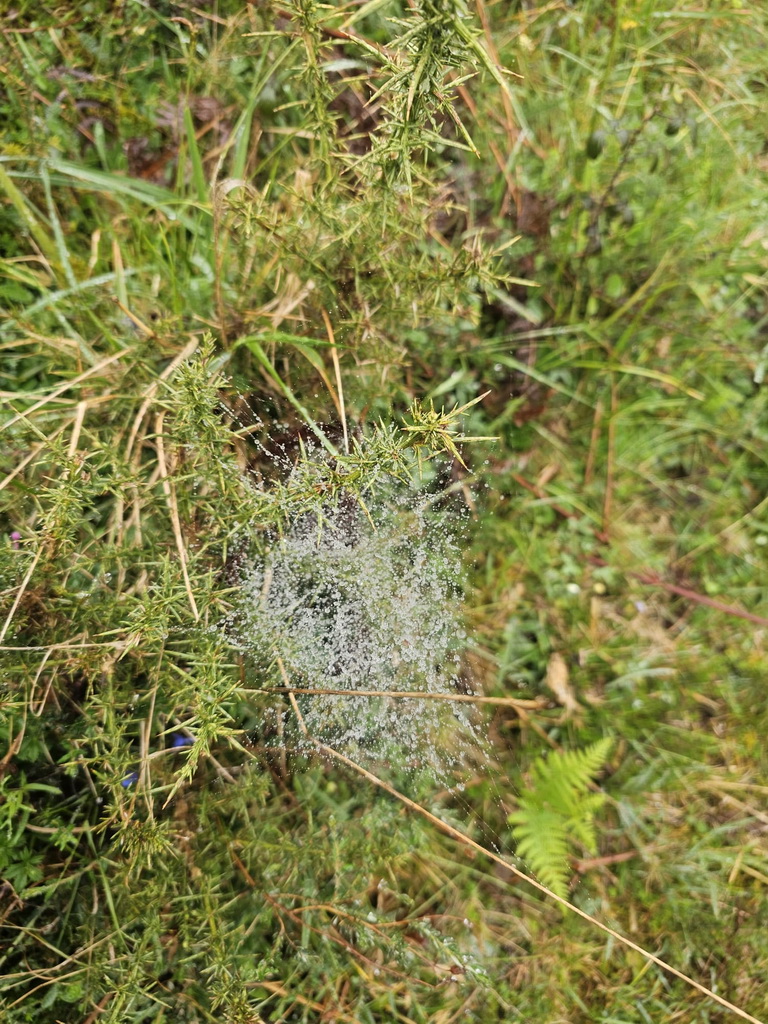 IMG-20250418-WA0026