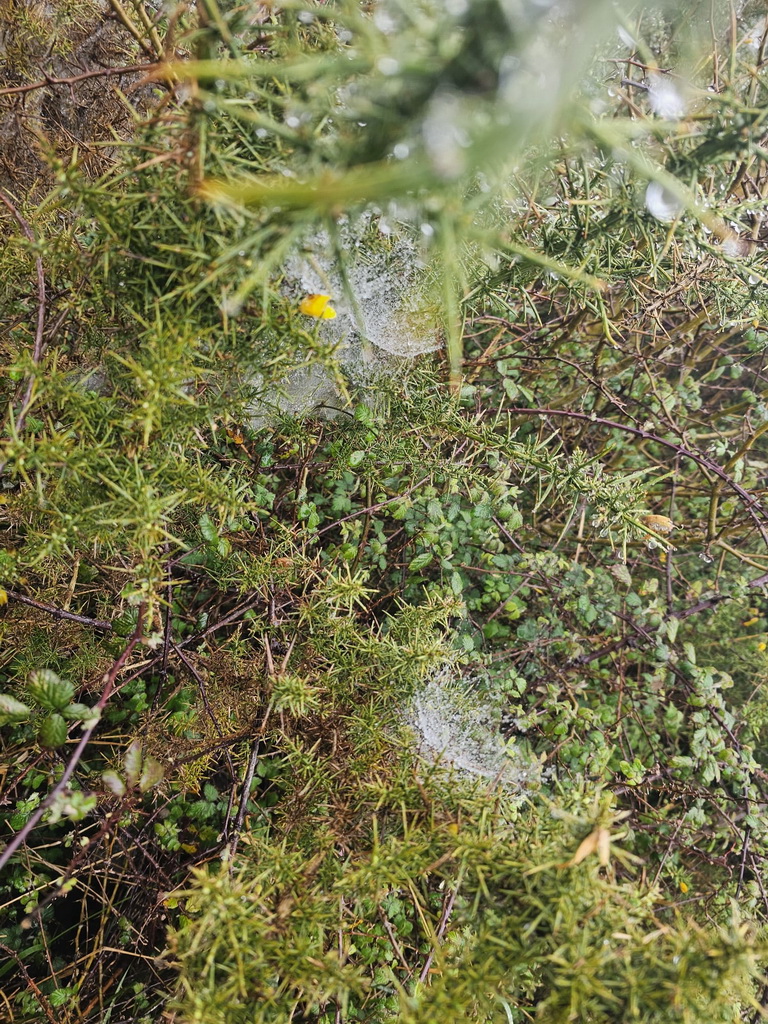 IMG-20250418-WA0029