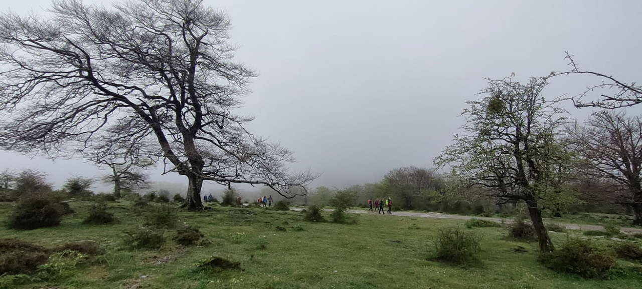 IMG-20250428-WA0083