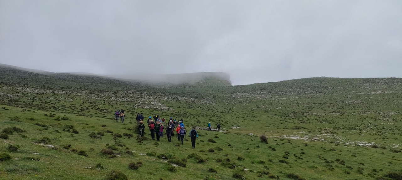 IMG-20250428-WA0101