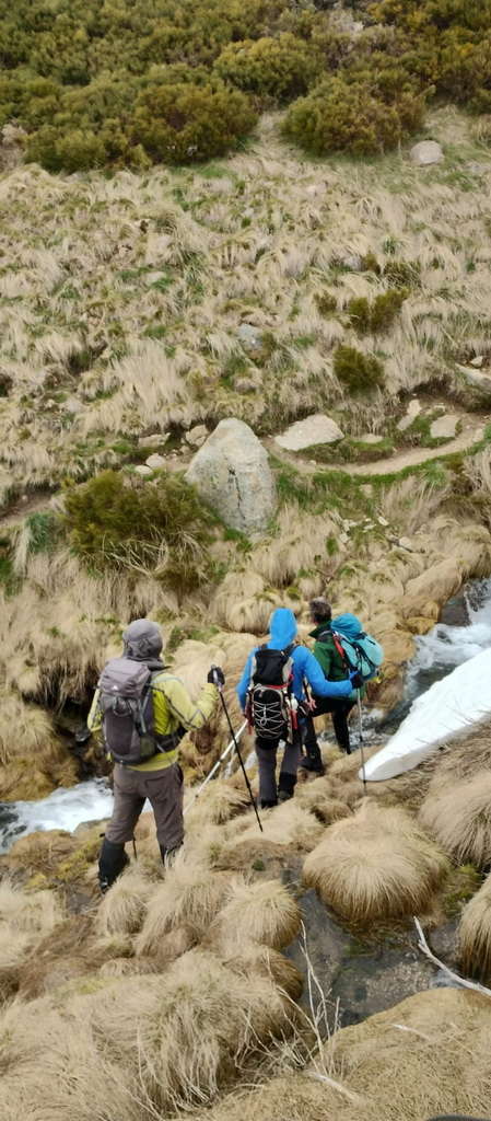IMG-20250512-WA0035