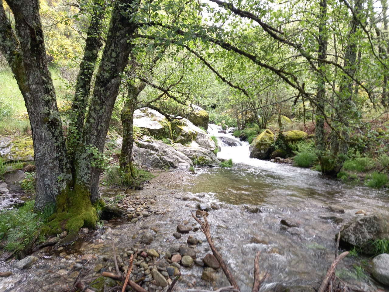 IMG-20250515-WA0028