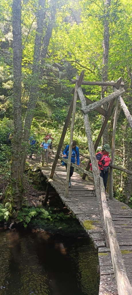 IMG-20250615-WA0033