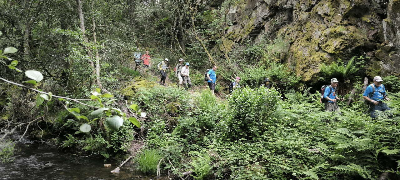 IMG-20250615-WA0095