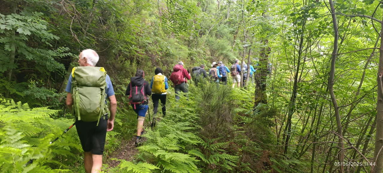 IMG-20250615-WA0112
