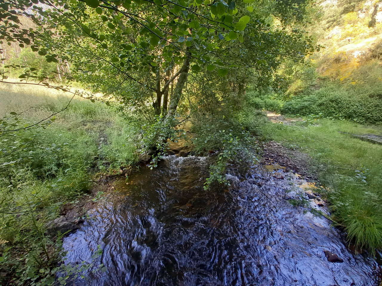 IMG-20250615-WA0198