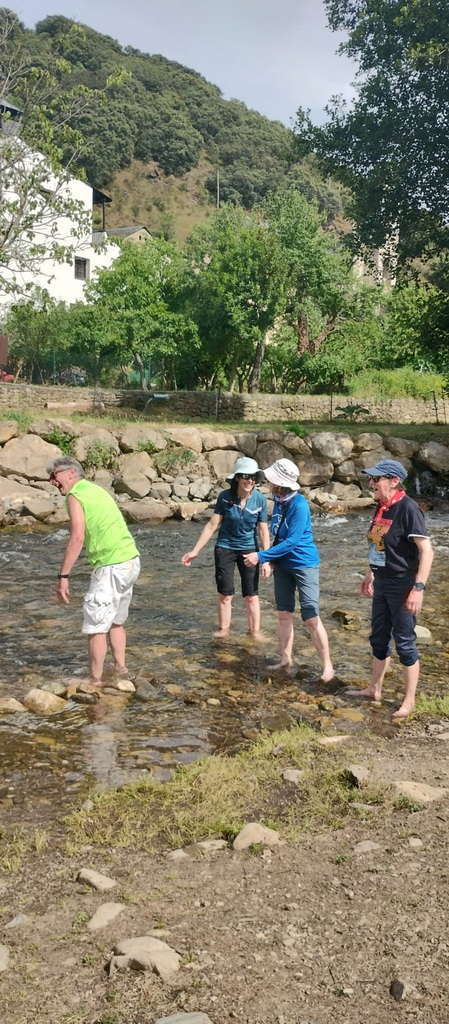 IMG-20250615-WA0252