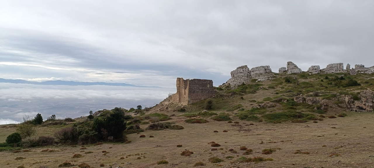 IMG-20251027-WA0030