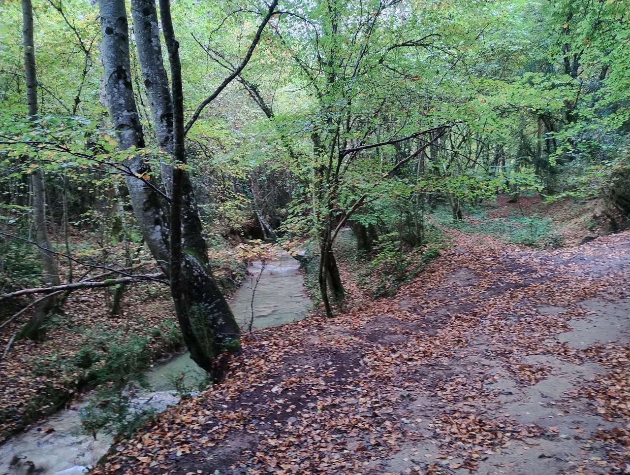 IMG 20251025 104951100 HDR